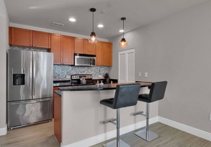 Luxurious 2/2 apartment in downtown Orlando