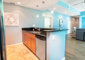 Luxurious Downtown 1.5 bed / 2 bath Apartment