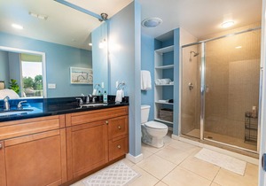 Luxurious Downtown 1.5 bed / 2 bath Apartment