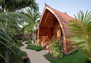 Made Taro - Menjangan Homestay