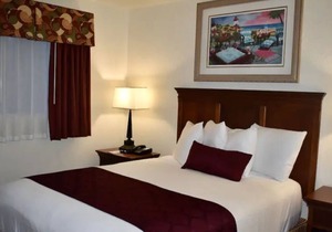 Near Theme Parks - 4 Night Minimum