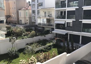 Palm beach Cannes