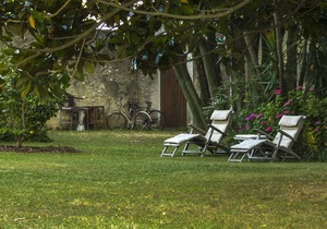 Stay, think and relax. 15' drive from Pisa, Lucca and the beach. Extended layout