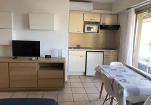 Studio clim. proche plage, commerces & gare avec WiFi, parking en option - FR-1-466A-15