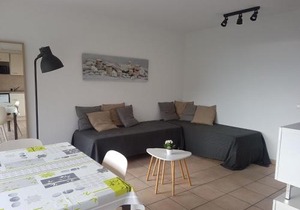 Studio Proche Plage et Commerces - Climatisé, Parking, Wi-Fi - FR-1-466A-12