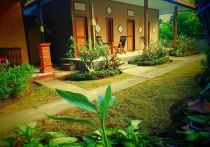 The Local Menjangan Homestay