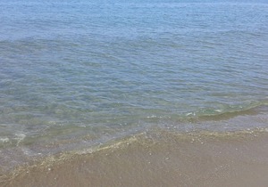 Viareggio spacious and well-priced apartment