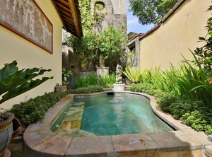 Br Villa Plunge Incl Breakfast | Penatih