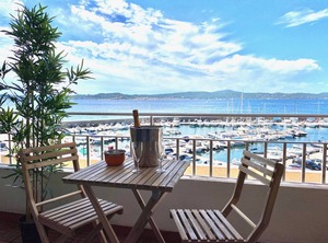 Mimosas | Sainte-Maxime City Centre