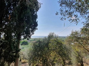 Collina Lagomare | Massarosa