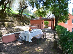 Collina Lagomare | Massarosa