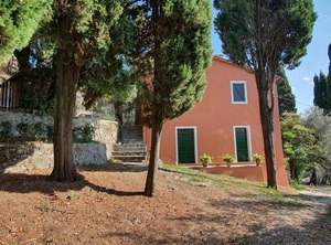 Collina Lagomare | Massarosa