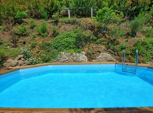 Casale Cozzile | Macchino