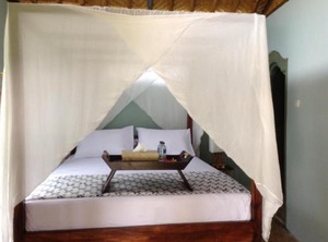 Aashaya Jasri Resort | Jasri