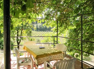 Locazione Turistica Cellole | Castellina in Chianti