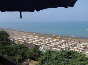 Murex | Marina di Castagneto Carducci