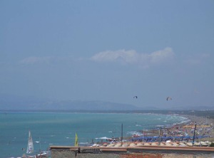 Murex | Marina di Castagneto Carducci