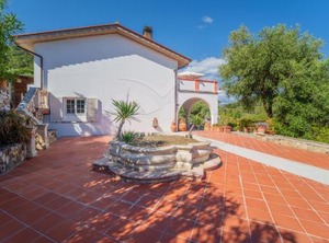 Campo | Campo nell'Elba