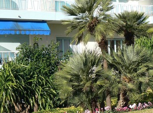 Vacances Appartements Nice Centre Carré | Lazaret