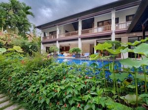 Ubud Valley Atmosphere | Ubud City-Centre