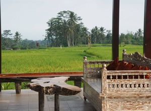 Tegallalang | Kenderan