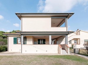 Primula | Marina di Campo