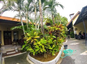 Putu | Berawa