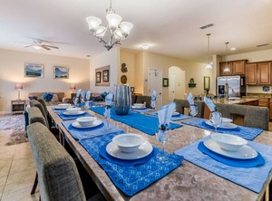 Sugar Palm | West Kissimmee