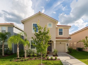Sugar Palm | West Kissimmee