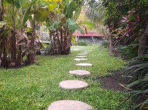 Menjangan Homestay | Pejarakan