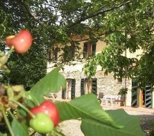 Holiday Pomaia Persons Bedrooms 