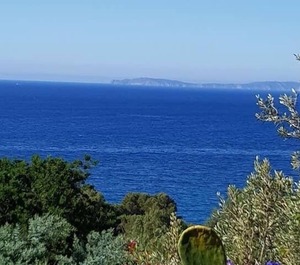 Les Lauriers Roses 