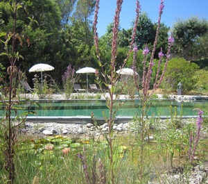 Villa Hespérides 