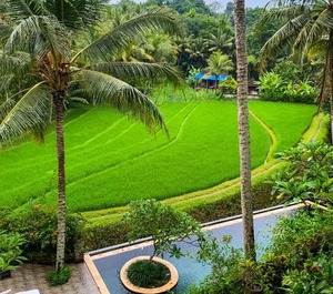 Umasari Rice Terrace Villa 