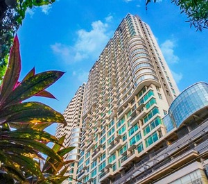 Treepark City 