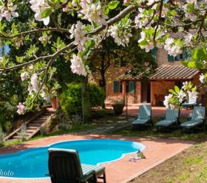 Accommodation Camaiore 