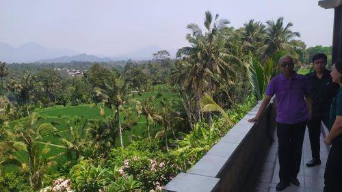 Payangan Hotel | 12 m² Hotel ∙ 3 guests