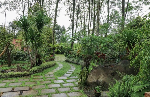 Pupuan House | 20 m² Bungalow ∙ 2 guests