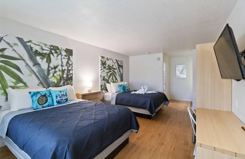 Campbell Apartment | 22 m² Apartment ∙ 1 bedroom ∙ 4 guests