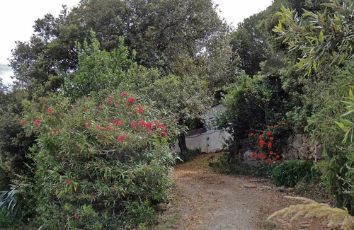 Porto Azzurro House | 23 m² Bungalow ∙ 1 bedroom ∙ 2 guests