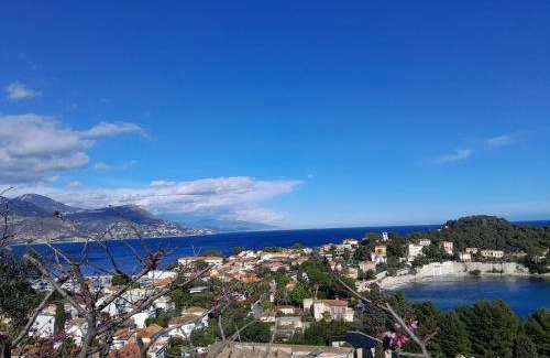 Saint-Jean-Cap-Ferrat Apartment | 25 m² Apartment ∙ 1 bedroom ∙ 2 guests