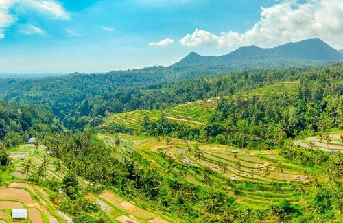 Sawan Bed & Breakfast | 30 m² Bed and breakfast ∙ 3 guests
