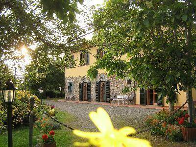Pomaia Apartment | 40 m² Apartment ∙ 1 bedroom ∙ 3 guests