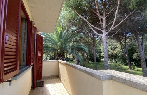 Mazzanta Apartment | 40 m² Apartment ∙ 1 bedroom ∙ 4 guests