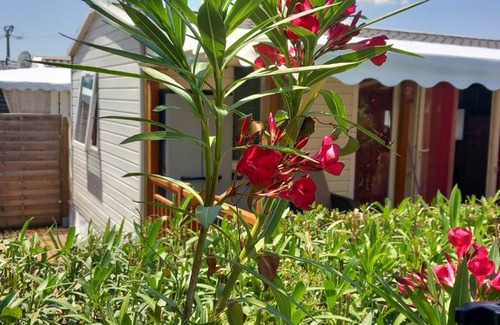 Frejus House | 42 m² House ∙ 3 bedrooms ∙ 6 guests