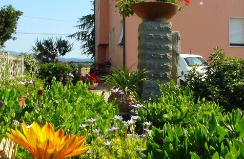 Castagneto Carducci Bed & Breakfast | 45 m² Bed and breakfast ∙ 4 guests