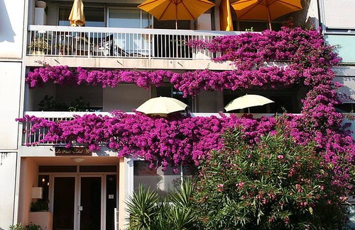 La Californie Apartment | 48 m² Apartment ∙ 1 bedroom ∙ 4 guests