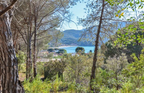 Procchio Apartment | 50 m² Apartment ∙ 2 bedrooms ∙ 4 guests