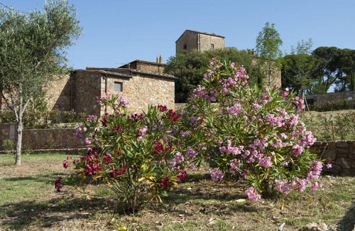 Casalappi Resort | 50 m² Resort ∙ 2 bedrooms ∙ 4 guests