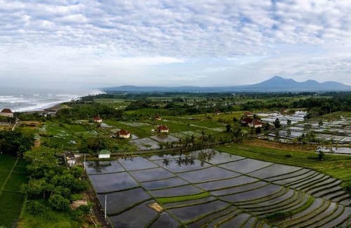 Kediri Resort | 500 m² Resort ∙ 4 bedrooms ∙ 8 guests